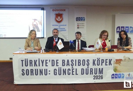 Başıboş köpek meselesi hakkında Ankara'da panel düzenlendi