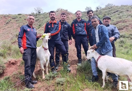Nallıhan'da 2 gündür kayalıkta mahsur kalan 2 keçi kurtarıldı