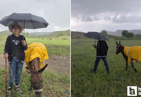 Yozgat'ta 13 yaşındaki küçük çobanın davranışı yürekleri ısıttı