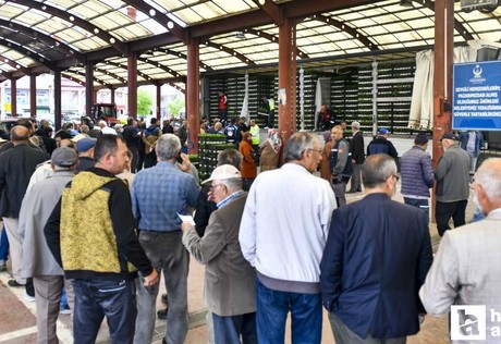 Ankara Büyükşehir Belediyesinden 25 ilçede 8 milyon sebze fidesi desteği!