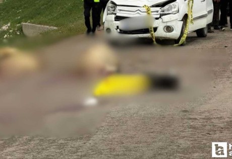 Sivas'ta araç koyun sürüsüne daldı: Çoban hayatını kaybetti, 9 koyun telef oldu