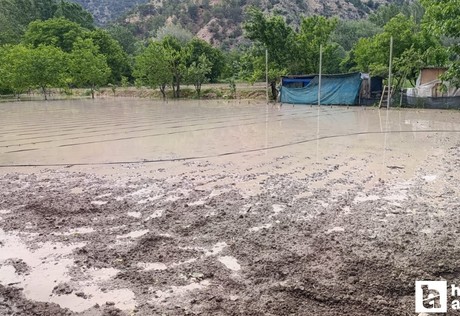Nallıhan'da Nallı Çayı taştı: Bazı bahçeler su altında kaldı