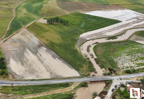 Yozgat'ta etkili olan doğu yağışı tarım alanlarına zarar verdi