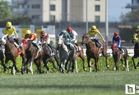100. Gazi Koşusu’nda yarışacak jokeyler adlarını tarihe yazdırmak istiyorlar
