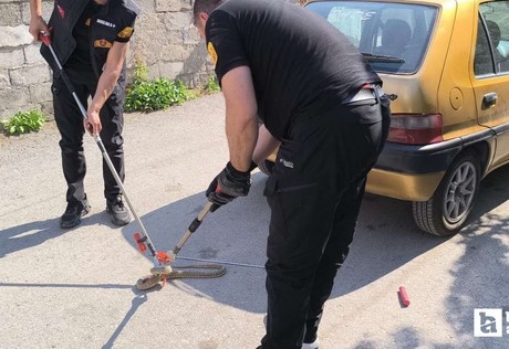 Çorum'da park halindeki otomobilin altına giren yılan paniğe neden oldu