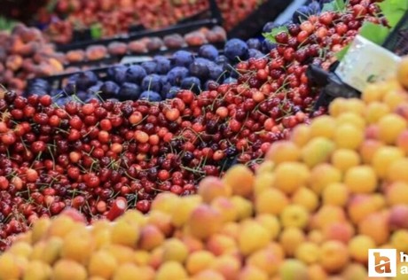 Haziran ayında fiyatı en çok artan ve azalan ürünler açıklandı