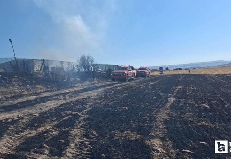 Güdül'de tarım arazisinde çıkan yangını itfaiye söndürdü
