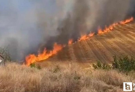 Beypazarı'nda yangın paniği: Ekili tarım arazisi alev aldı!