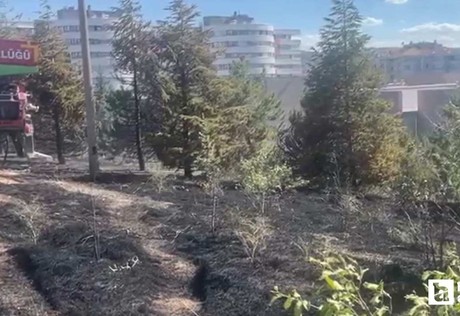 Çankaya'da arazide çıkan yangını itfaiye söndürdü