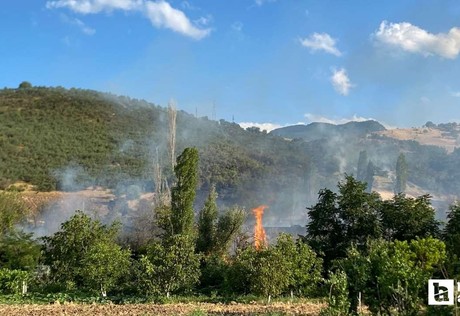 Çorum'da çıkan orman yangınını ekipler kontrol altına aldılar