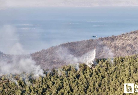 Muğla Milas'ta orman yangınına müdahele sürüyor: Bin 120 kişi tahliye edildi!