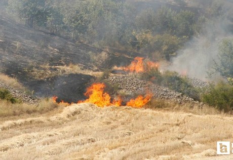 Beypazarı'nda çıkan yangında 50 dönüm buğday tarlası zarar gördü