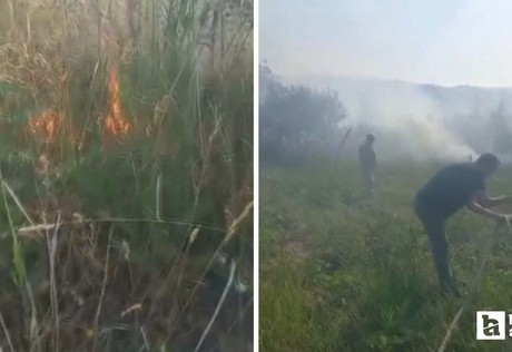 Beypazarı'nda ağaçlık alanda çıkan yangına itfaiye müdahale etti