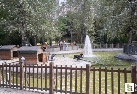 Türkiye genelinde hafta sonu yağış bekleniyor: Ankara'da sıcaklık düşecek!