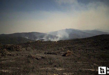 2026 yılında Fransa'da 120 bin hektara yakın alan kül oldu