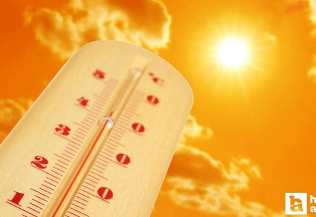 2050 yılına kadar başkentte sıcak hava dalgasının etkili olduğu gün sayısı 16 olabilir