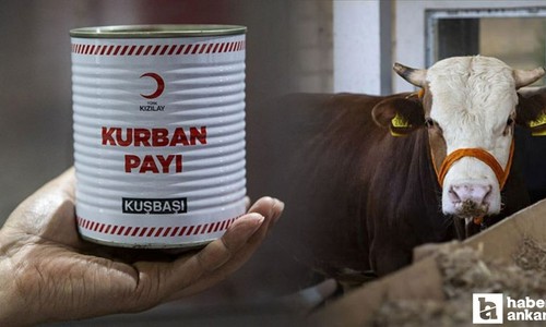 Kızılay kurban vekalet bedelleri Gazze kurban bağışı ne kadar?