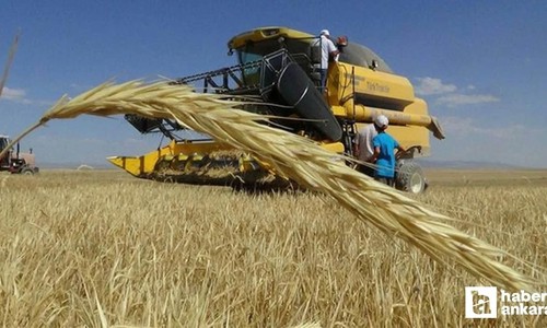 Ankara Polatlı’da sezonun ilk buğdayı ticaret borsasında satıldı