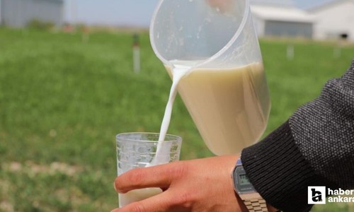 Niğde’de Dünya Süt Günü etkinliği yapıldı