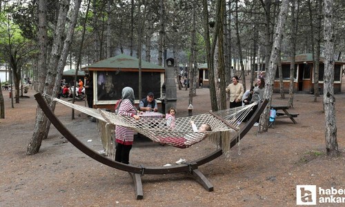 Yaz sıcaklarından bunalan Ankaralılar bu ormana koşuyor! Piknik yapmak isteyenler not etmeli