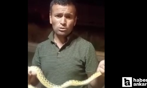 Ankara Akyurt'ta yılanları yakalaması ile ünlenen personel görenleri hayrete düşürüyor