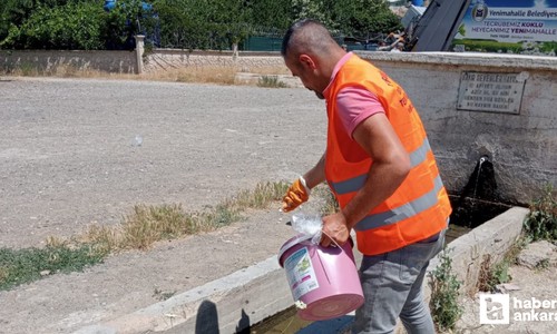 Yenimahalle Belediyesi sivrisineklere karşı larva çalışmaları yapıyor