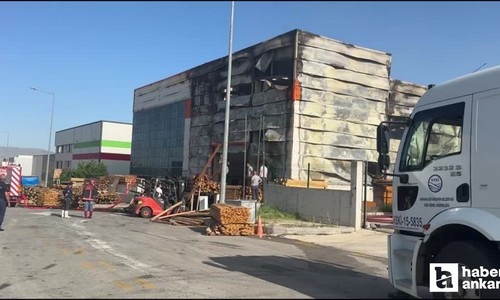 Ankara Sincan’daki palet fabrikasında yangın çıktı!