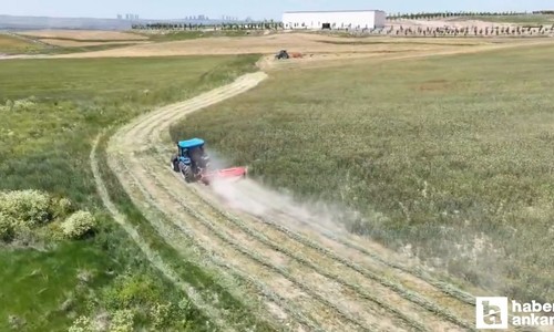 BAKAP’ta yılın ilk buğday hasadı yapıldı! İlk hasattan çıkacak ürünler ücretsiz dağıtılacak
