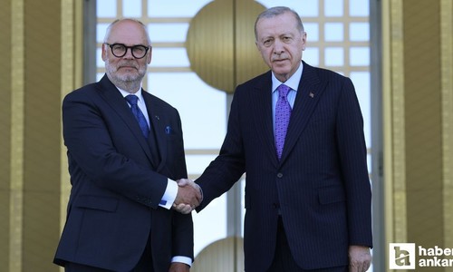 Cumhurbaşkanı Erdoğan Estonya Cumhurbaşkanı Karis ile bir araya geldi