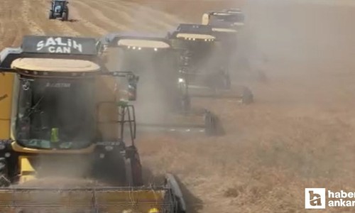 Ankara Polatlı’da buğday hasadı başladı