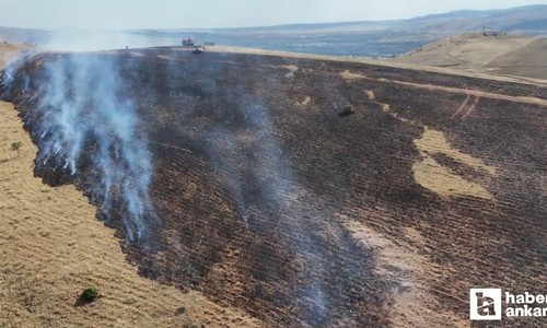Kırıkkale'de mangal nedeniyle yangın çıktı! 3 bin metrekare alan etkilendi
