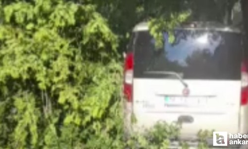 Ankara’nın Sincan ilçesinde ağaç dalı otomobilin üzerine düştü