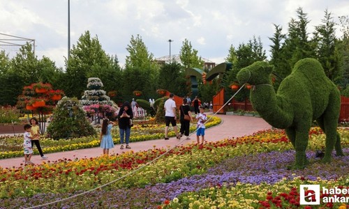 Konya’daki çiçekli bahçe görenleri kendisine hayran bıraktırıyor