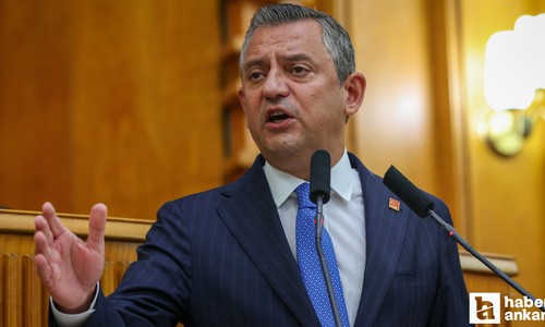 CHP Lideri Özel: Sokak hayvanları için gerekirse siper olacağız