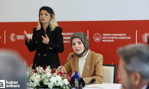 Aile ve Sosyal Hizmetler Bakanlığının internet sitesi engelli vatandaşlar için Erişilebilirlik Menüsüyle hizmet verecek