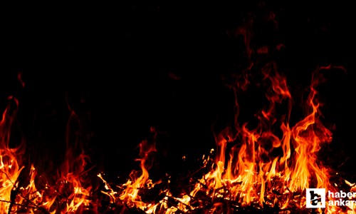 İzmir saatlerdir yanıyor! Gündem olan yangın kontrol altına alınamıyor