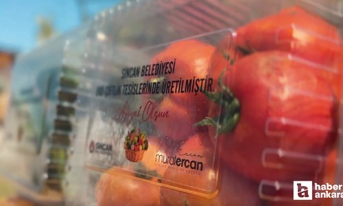 Sincan Belediyesi yetiştirdiği organik sebzeleri ihtiyaç sahiplerine gönderiyor