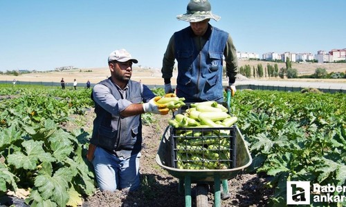 Keçiören Belediyesi sosyal yardım projeleri ile vatandaşın yüzünü güldürüyor