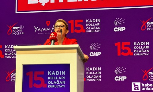 Asu Kaya kimdir, neye seçildi, ne görev yapacak?