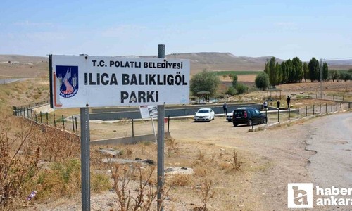 Ankara’nın Polatlı ilçesindeki Balıklı Göl Havuzundaki balıklar yok olma tehdidi altında