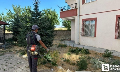 Kahramankazan Belediyesi yeşil alanlarda peyzaj çalışması yapıyor
