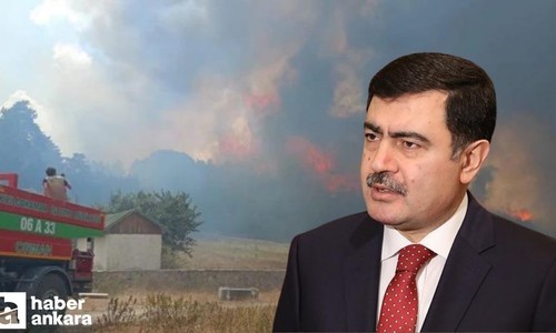 Ankara Valisi Şahin'den Ankara Bolu sınırındaki yangına ilişkin açıklama