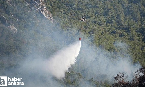 TSK Afyonkarahisar, İzmir ve Ankara'daki orman yangınlarını söndürme çalışmalarına destek oluyor