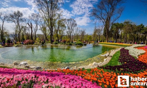 Meğer Ankara'ya çok yakınmış: Tatilcilerin gözdesi oldu sanki Japonya'dasınız