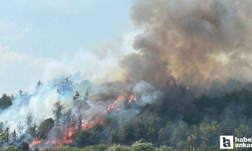 Antalya Aksu'da orman yangını çıktı