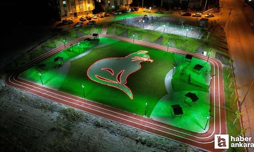 Pursaklar Belediyesinin Kedi desenli Parkı ilgi çekmeye devam ediyor