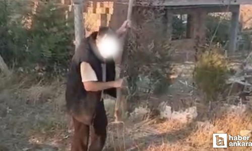 Ankara'da bir adam yavru köpeği vahşice katletti