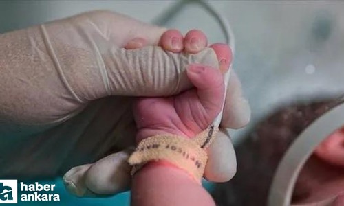 Doğum oranı düşük illerde bakanlık çalışma başlatacak