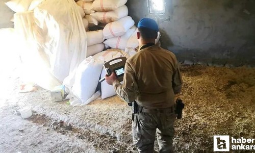 Narin olayı son dakika haberleri: Neden öldürülmüş gizli tanık ifadesinde açıkladı!