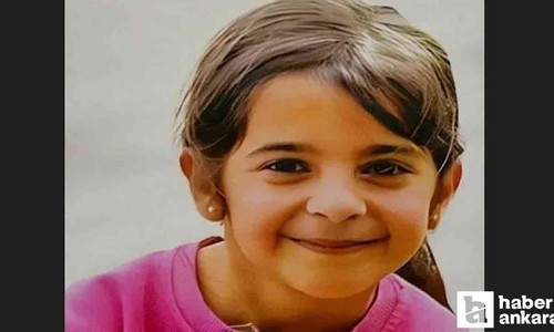 Narin Güran cinayetinde son dakika: Ahır ve evde yapılan ek aramanın nedeni ortaya çıktı!